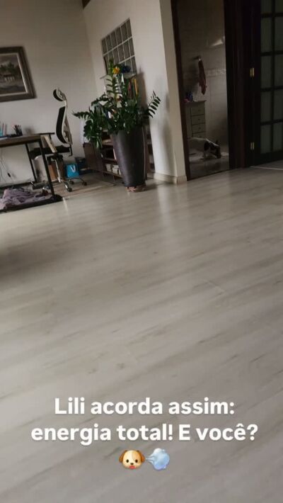Lili acorda pronta para brincar, correr e viver o momento. 🐶🐒✨

E eu fico pensando: quantas vezes nós também precisamos acordar assim — com energia, disposição e coragem para realizar?

A vida financeira também começa com movimento.

Um pequeno passo, uma decisão, uma atitude diferente… e o dia já ganha outro rumo.

Que hoje a gente acorde pronto para o novo, para os sonhos e para as realizações.

E você, acordou no modo 220V ou ainda está procurando o botão de ligar? 😂

#OdeteReis
#EducaçãoFinanceira
#SimParaSeuDinheiro
#dinheirocompropósito
#odetereis